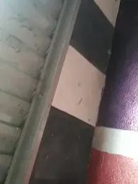 morenosfd069 webcam model stream image