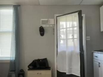 deleriox2 webcam model stream image