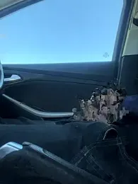 your_bi_slave webcam model stream image