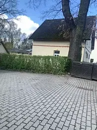 GeilerHSVFAN1989 webcam stripchat model stream image