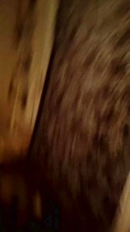 Mai73XXX webcam model stream image