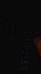 Mai73XXX webcam model stream image