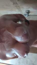 Larizos03 webcam model stream image