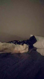 BittyBhad webcam model stream image