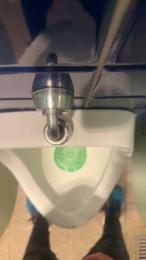 segredo1980 webcam model stream image