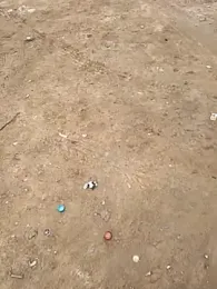 Outdoor_backup webcam model stream image