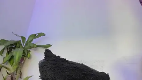 Lucy_shen_ webcam model stream image