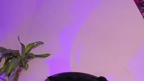 Lucy_shen_ webcam model stream image