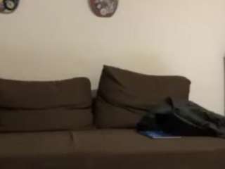 vicnte webcam model stream image