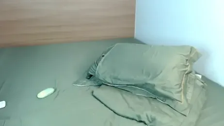 heilgarbest webcam model stream image