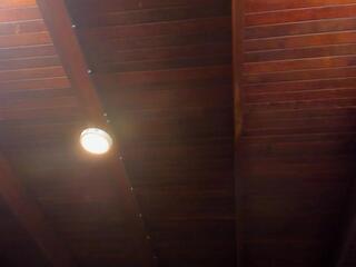 Lukee Taylor webcam model stream image