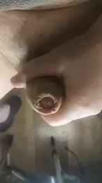 TobyDick13 webcam model stream image