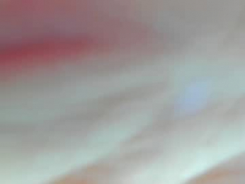 meryfoxxx webcam model stream image