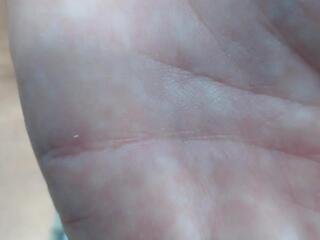 Adrianna Fox webcam model stream image