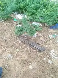 teluguu-rajj webcam model stream image