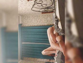 Paramy webcam model stream image