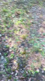 Enricotesta webcam model stream image