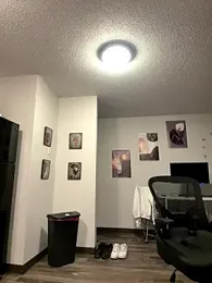 Stayinalive1992 webcam model stream image