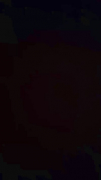 sexobisexual1 webcam model stream image