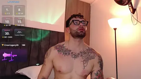 Diegoarctic webcam model stream image