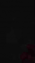 Gallo_brzs webcam model stream image