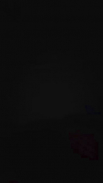 Gallo_brzs webcam model stream image