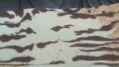 MucSuesser webcam cam4 model stream image