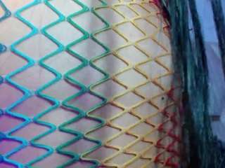 sarahh-sophia webcam model stream image