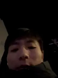 ace2p webcam model stream image