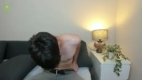 Quentin_Blake webcam model stream image