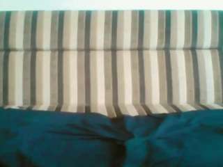 alisex3131 webcam model stream image