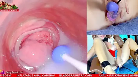 MaryBrook1 webcam stripchat model stream image