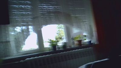 maglernen webcam model stream image