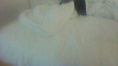 axa5 webcam model stream image