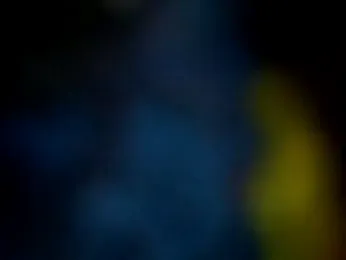 Wero4200 webcam model stream image