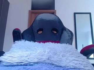 evelynnsex webcam model stream image