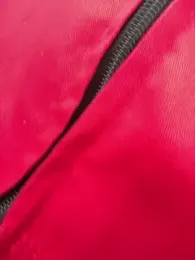 santiObrero webcam model stream image