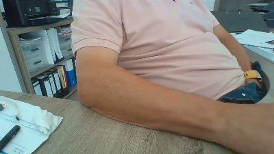 Rola311 webcam model stream image