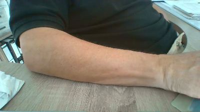Rola311 webcam model stream image