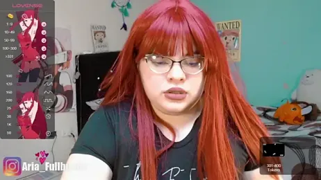 Aria_Fullbuster webcam model stream image