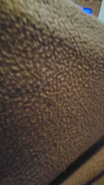 Duro0784 webcam model stream image