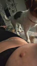 Speziata webcam cam4 model stream image