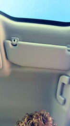 bntpas webcam model stream image