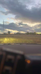 bntpas webcam model stream image