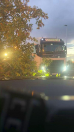 bntpas webcam model stream image