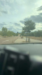 bntpas webcam model stream image