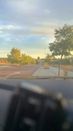 bntpas webcam model stream image