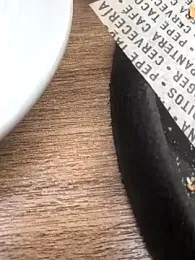 xxxfeo webcam model stream image