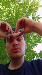 Fsst4 webcam model stream image