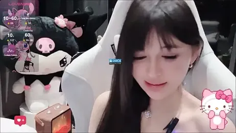 fog- webcam model stream image